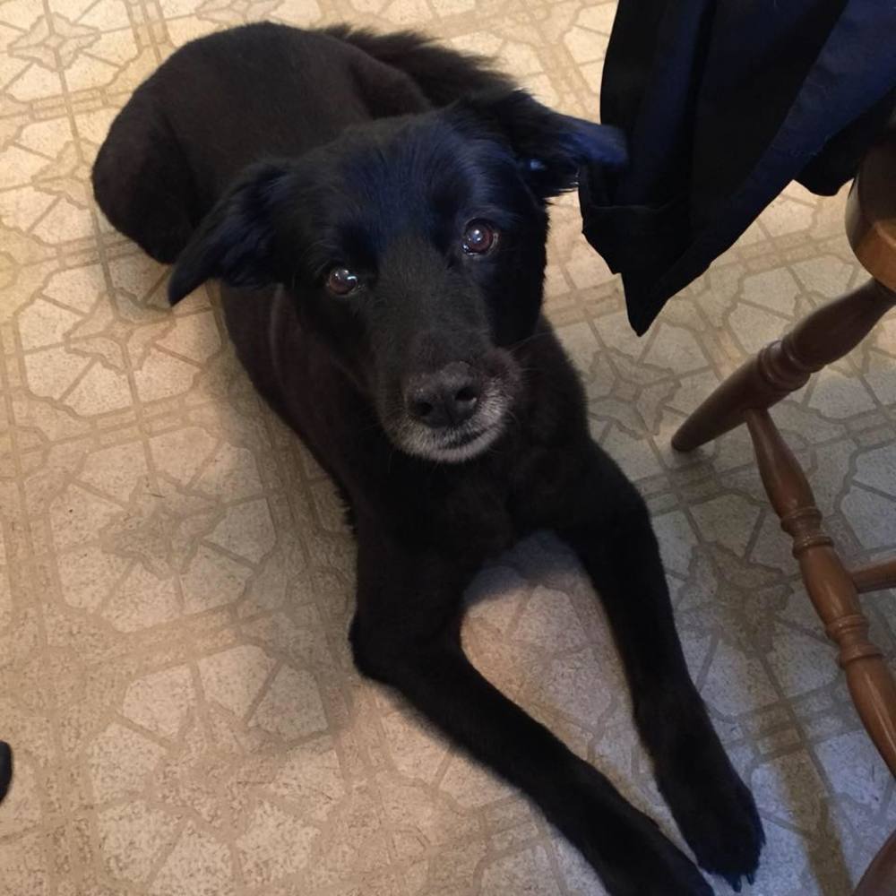 Meet your Posher, Catherine